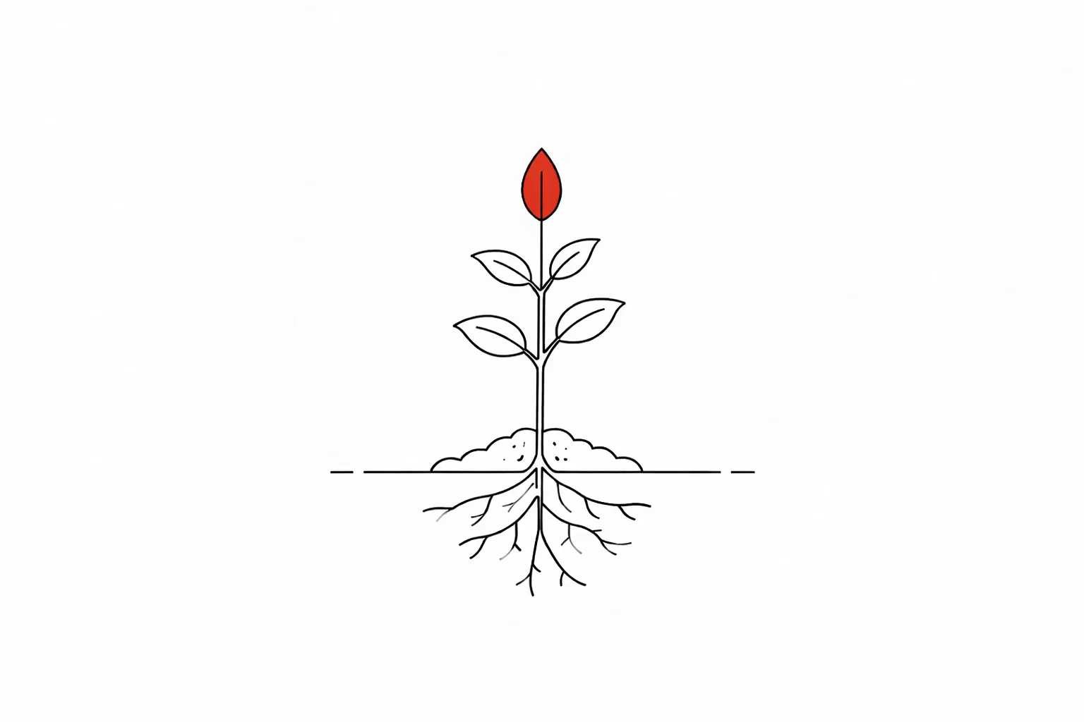 Organic Growth  (SEO)